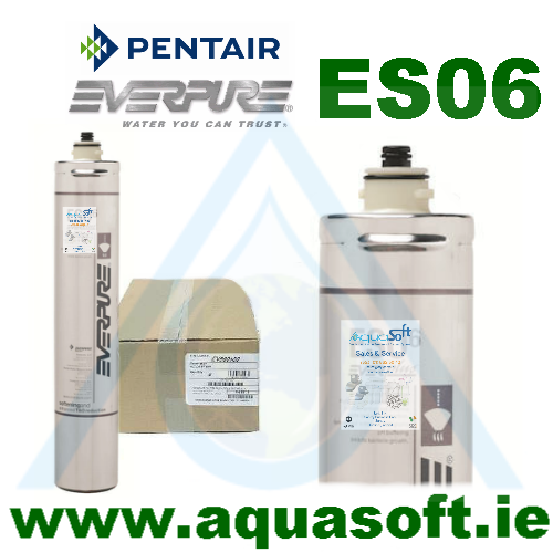 Pentair® Everpure ES06 filter | EV9607-10